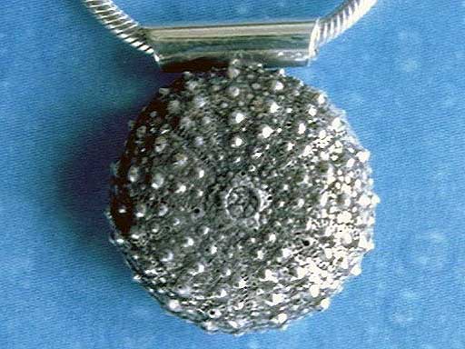 Taucherschmuck Seeigel Kettenanhänger geschwärzt