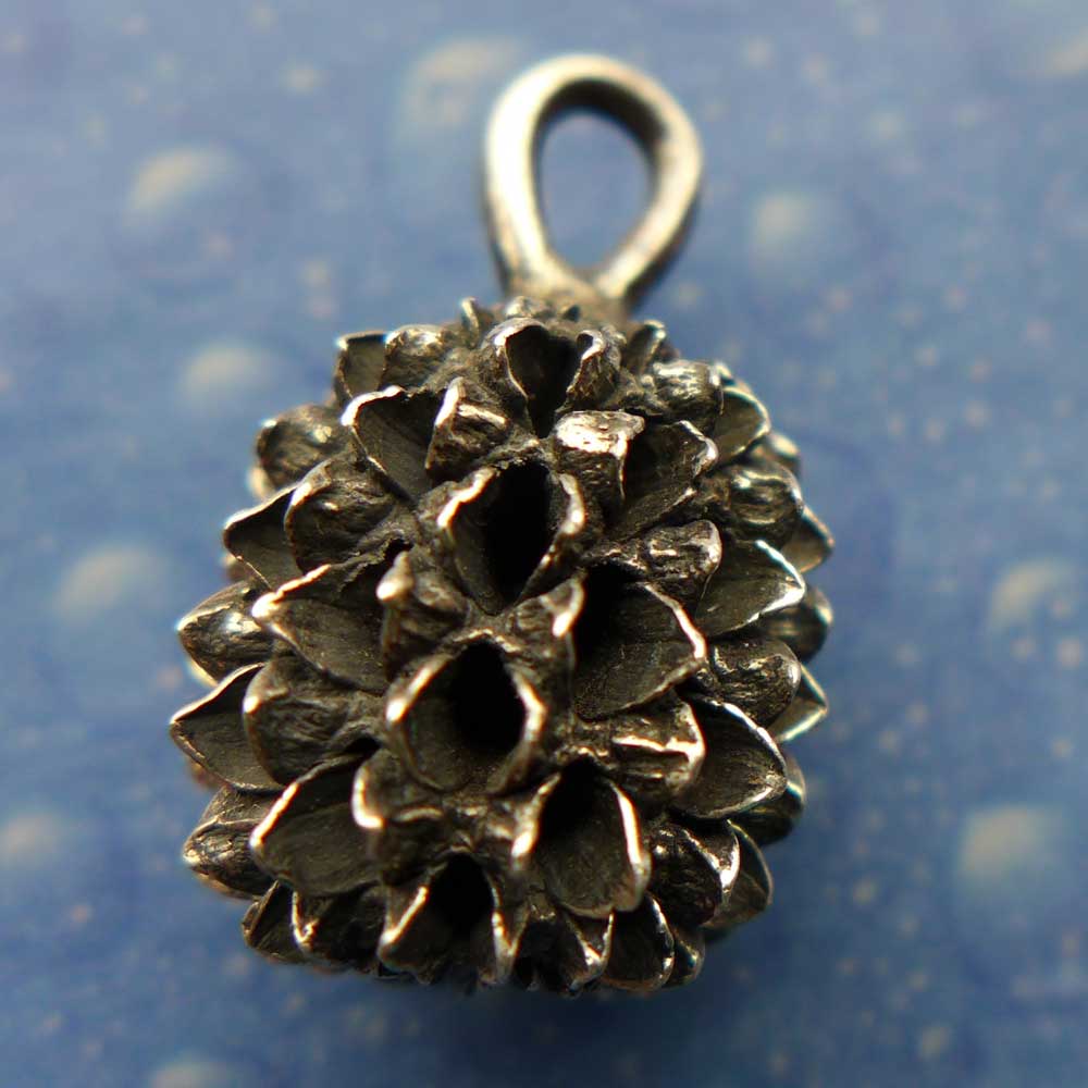 Kasuarinen Same Schmuck Anhänger geschwärzt