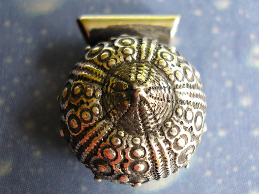 Schmuck Seeigel Kettenanhänger Silber