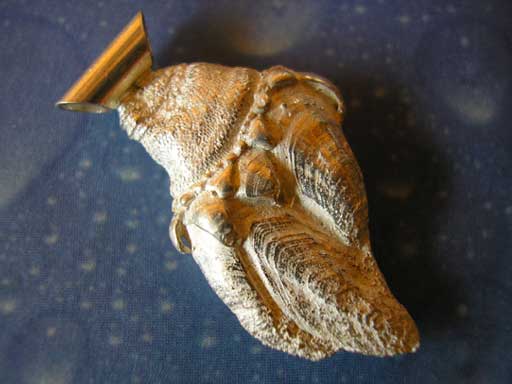 Essbares Ding m Anhänger Enten Muschel