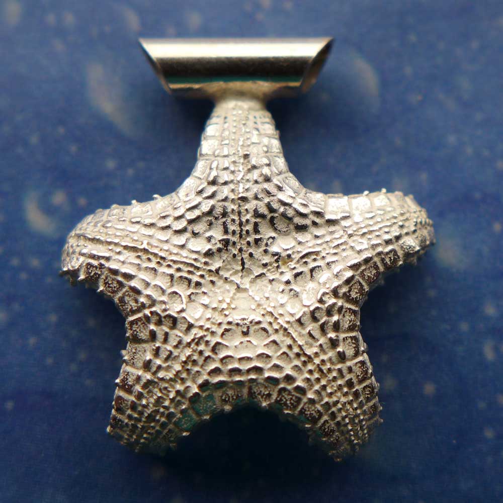 Seestern Anhänger Schmuck Silber
