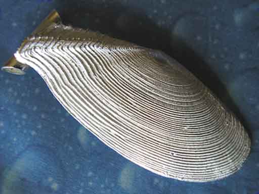 Panama Tellmuschel Anhänger