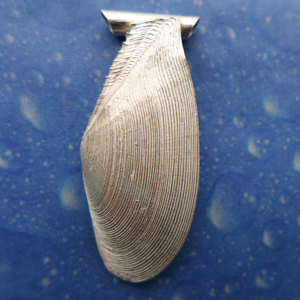 Panama Tellmuschel Anhänger