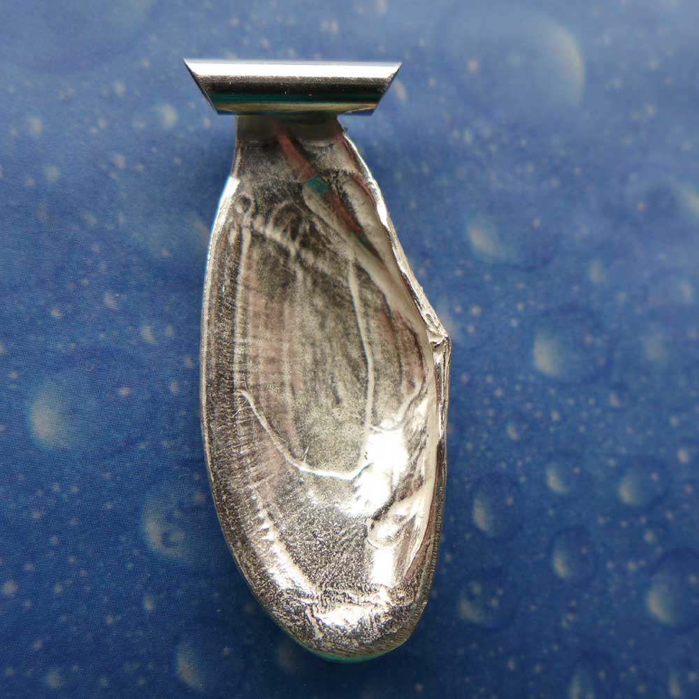 Panama Tellmuschel Anhänger