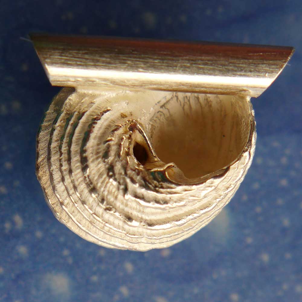 Anhänger Schmuck Mass Schnecke Rückseite