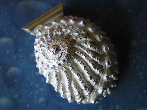 Meerohr Silber Ketten Anhänger