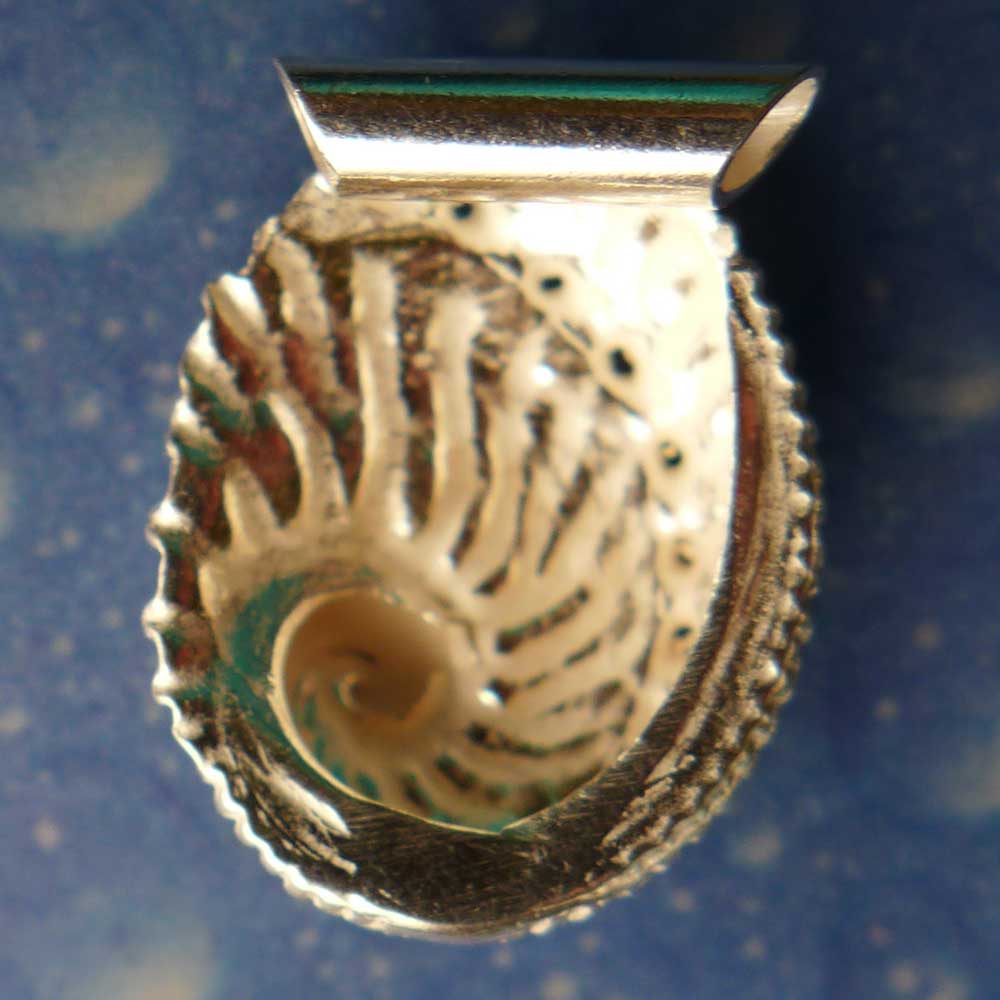 Meerohr Silber Ketten Anhänger Rückseite