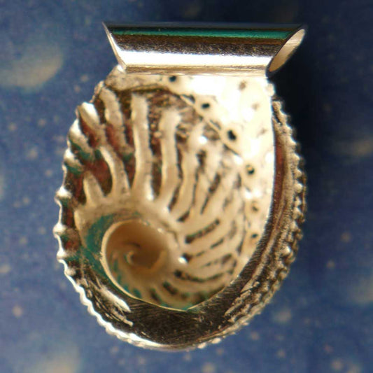 Meerohr Silber Ketten Anhänger Rückseite