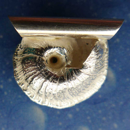 Scharfkantige Sonnenuhrschnecke s Anhänger