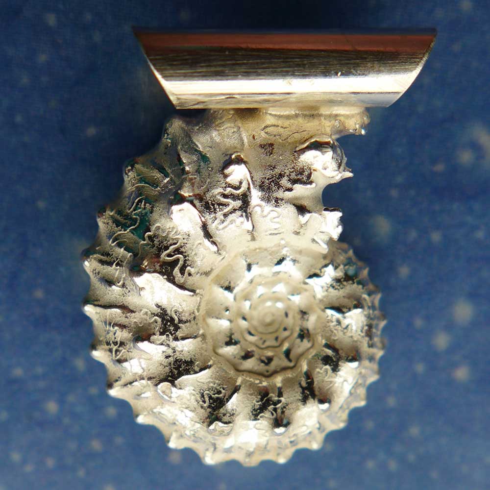 Ammonit beidseitig Anhänger Versteinerung