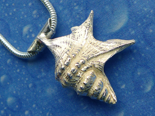 Schmuck Design Schnecke Pelikanfuß