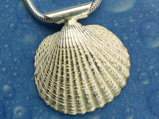 Meer Schmuck Anhänger Kamm Muschel