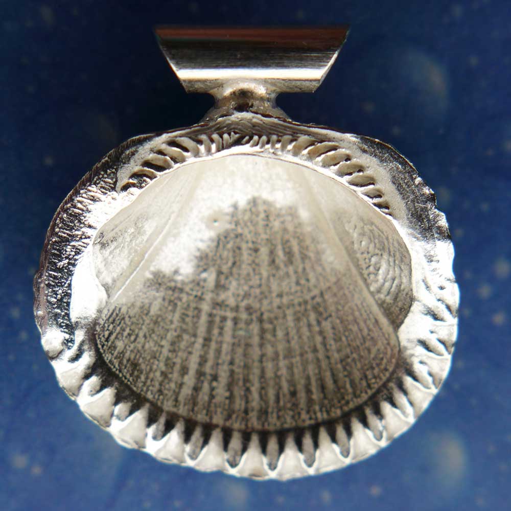 Meer Schmuck Anhänger Kamm Muschel Rückseite