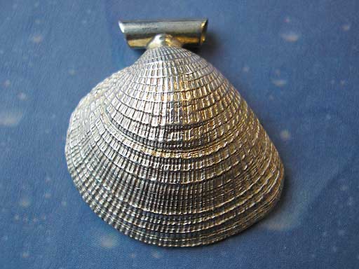 Muschelschmuck Anhänger Lamellenvenus