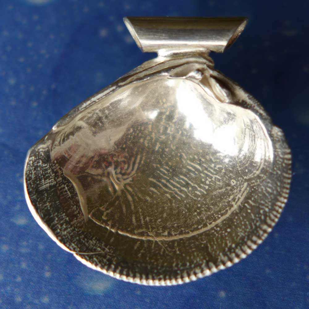 Lamellenvenus Muschel medium Anhänger Rückseite