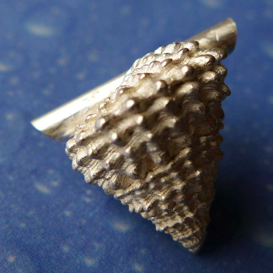 Gekrönte Strand Schnecke medium Anhänger