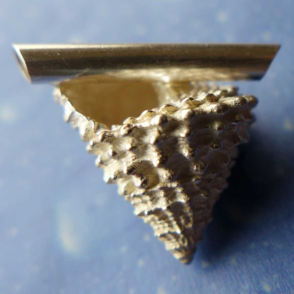 Gekrönte Strand Schnecke medium Anhänger