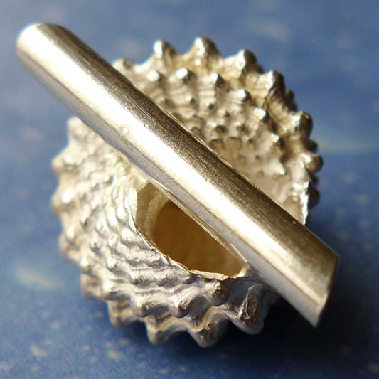 Gekrönte Strand Schnecke medium Anhänger