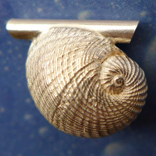 Mond Schnecke gestreift Anhänger