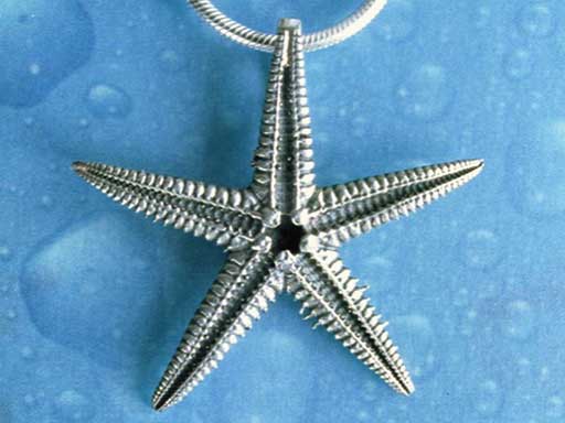 Maritimschmuck Seestern Anhänger geschwärzt