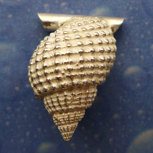 Muskatnuss dick Anhänger Schnecke