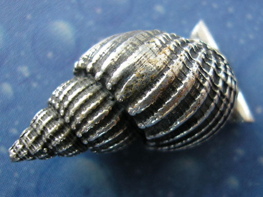 Meer Schmuck Silber Schnecke Muskatnuss geschwärzt