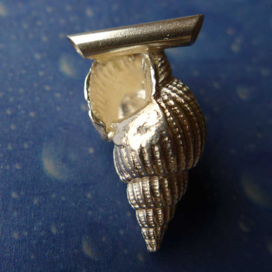 Meer Schmuck Silber Schnecke Muskatnuss Rückseite