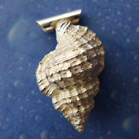 Purpur Tritonshorn medium Anhänger Schnecke