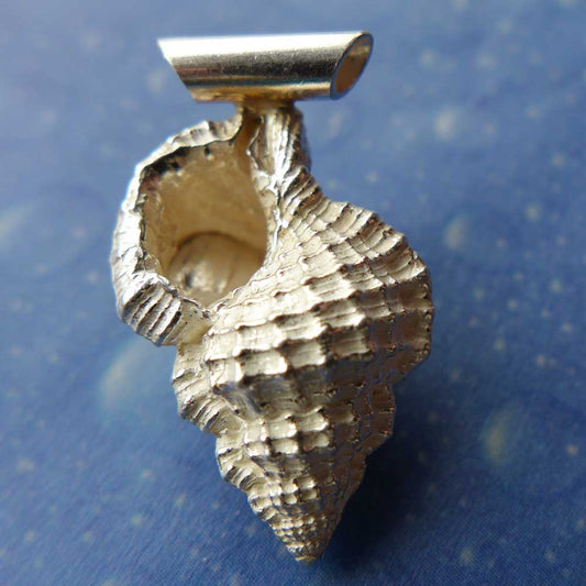 Purpur Tritonshorn medium Anhänger Schnecke