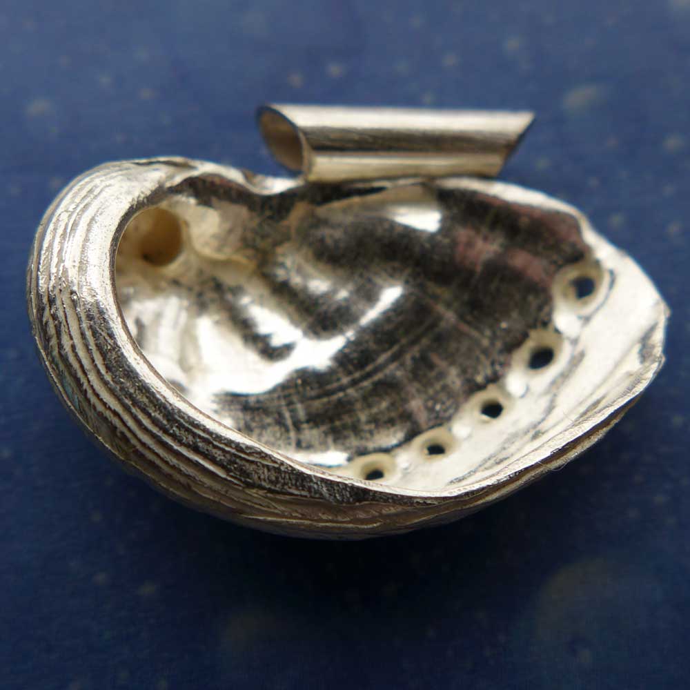 Schmuck Meerohr Anhänger Kette Silber