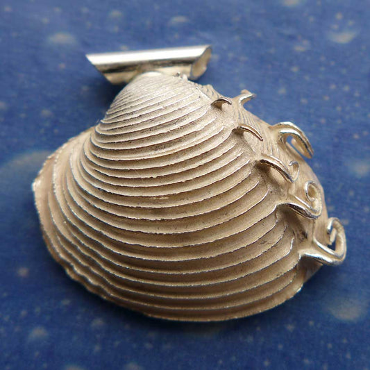 Venuskamm Muschel Anhänger