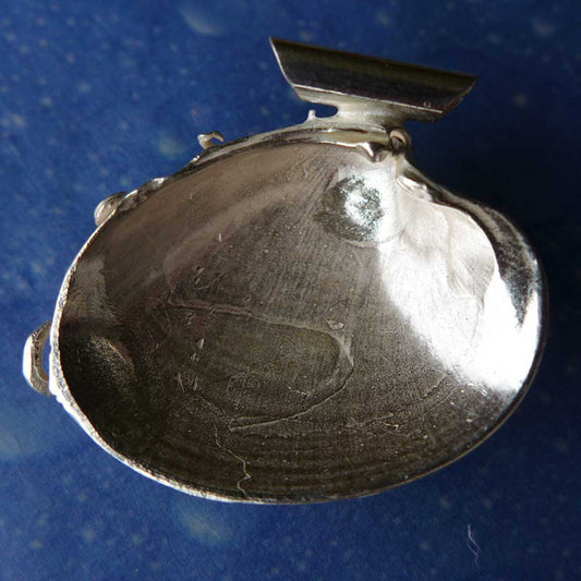 Venuskamm Muschel Anhänger