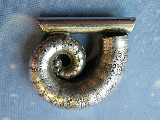 Spirula Anhänger Schmuck Silber geschwärzt