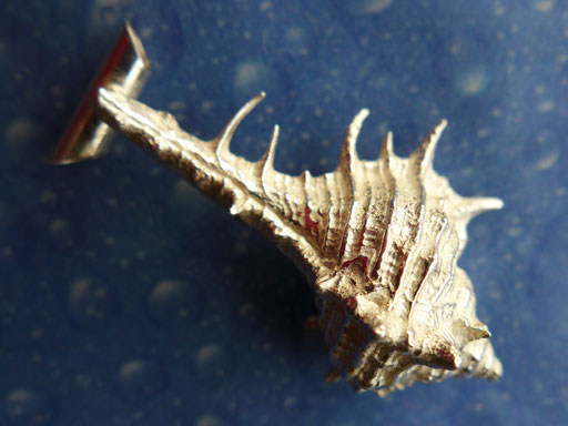 Murex Schmuck Anhänger Silber