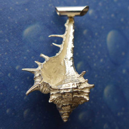 Murex Schmuck Anhänger Silber Rückseite