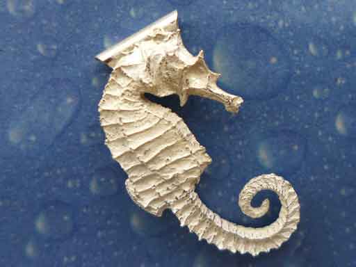 Seepferdchen Silber Anhänger Schmuck