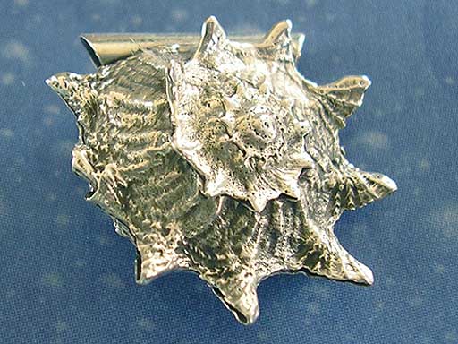 Meeres Design Anhänger Sonnen Schnecke