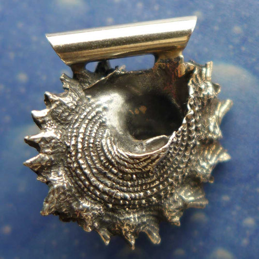 Geschuppte Sonnen Schnecke Anhänger