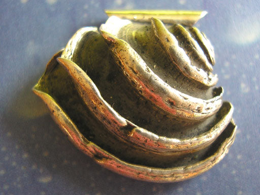 Muschel Anhänger Silber Königsvenus