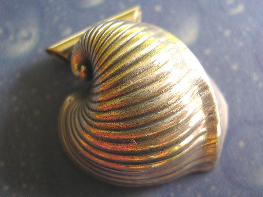 Ochsenherz eine Seite Anhänger Muschel