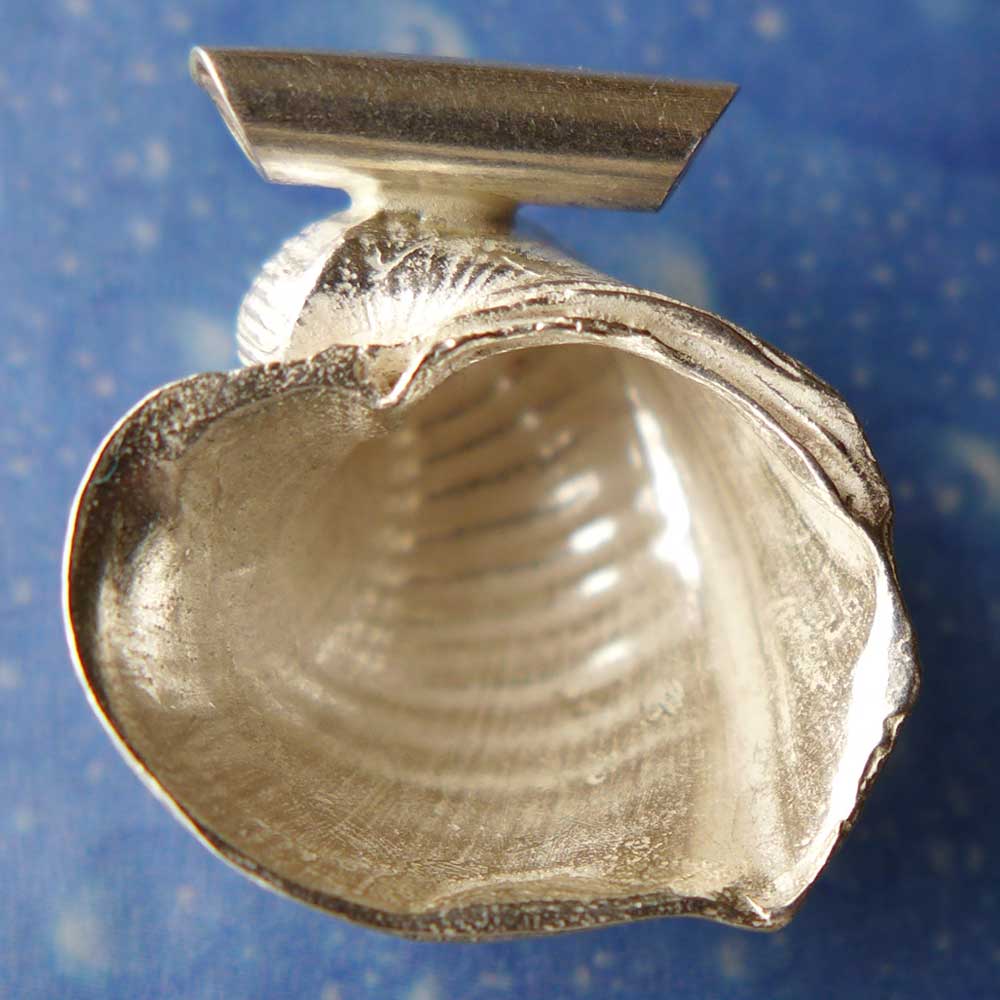 Ochsenherz eine Seite Anhänger Muschel