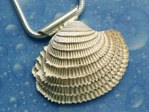 Lamellen Venusmuschel Anhänger Schmuck