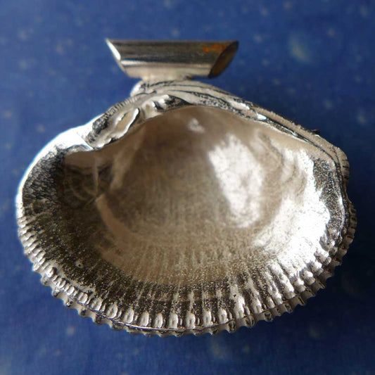 Schmuck Venusmuschel Anhänger Rückseite