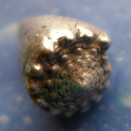 Kegel Schnecke Anhänger