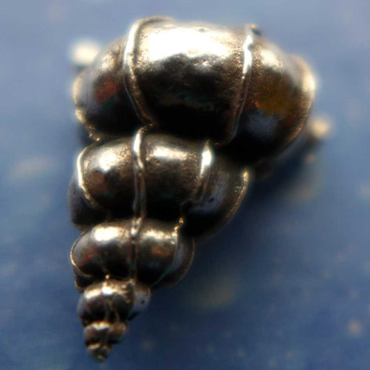 Echte Wendeltreppen Schnecke medium Anhänger