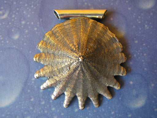 Halskette Seeigel Sanddollar Silber