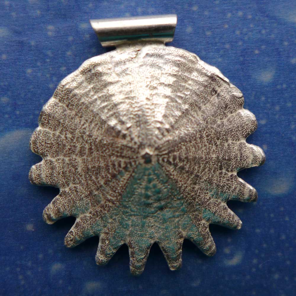 Sanddollar gezackt Anhänger