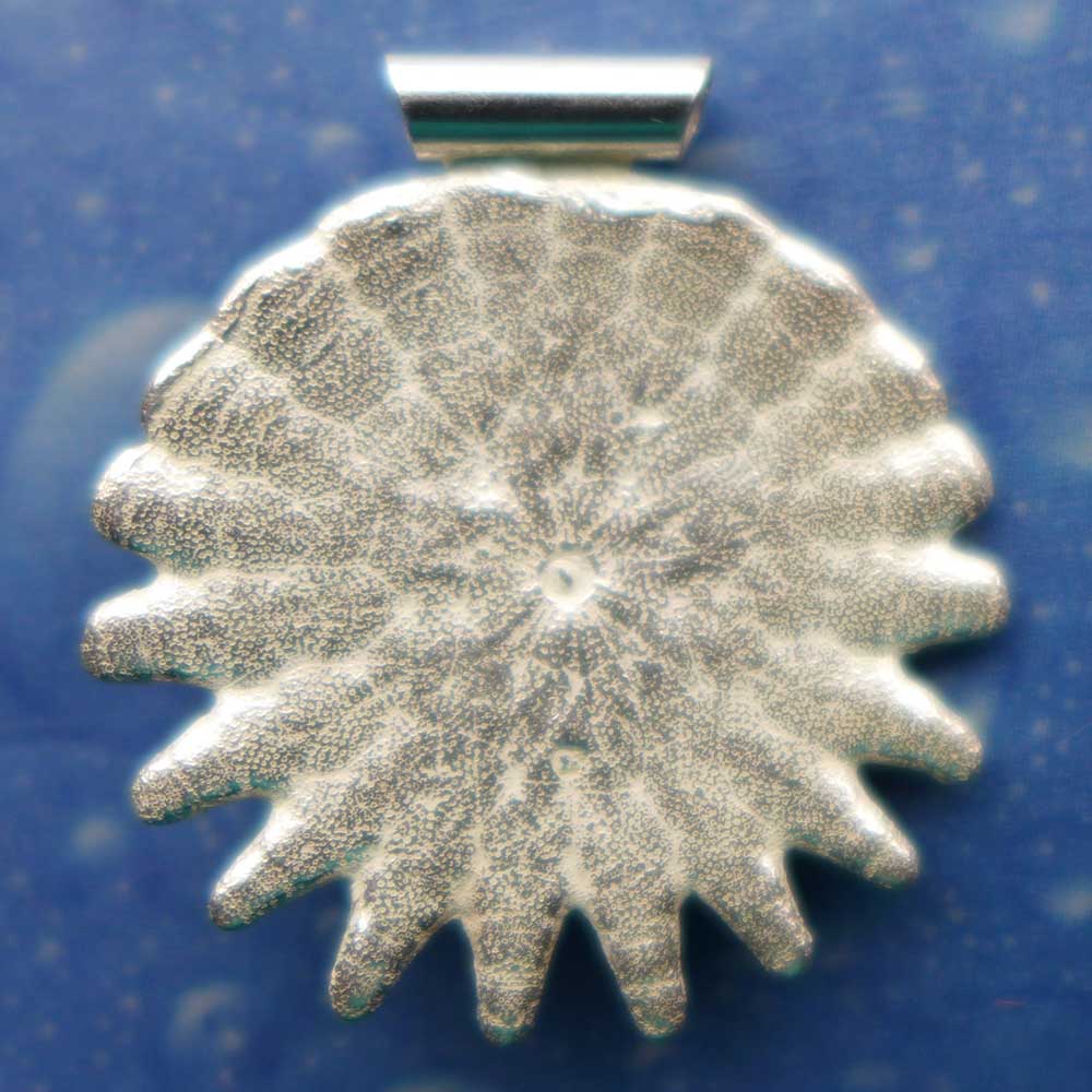 Maritime Halskette Seeigel Silberschmuck