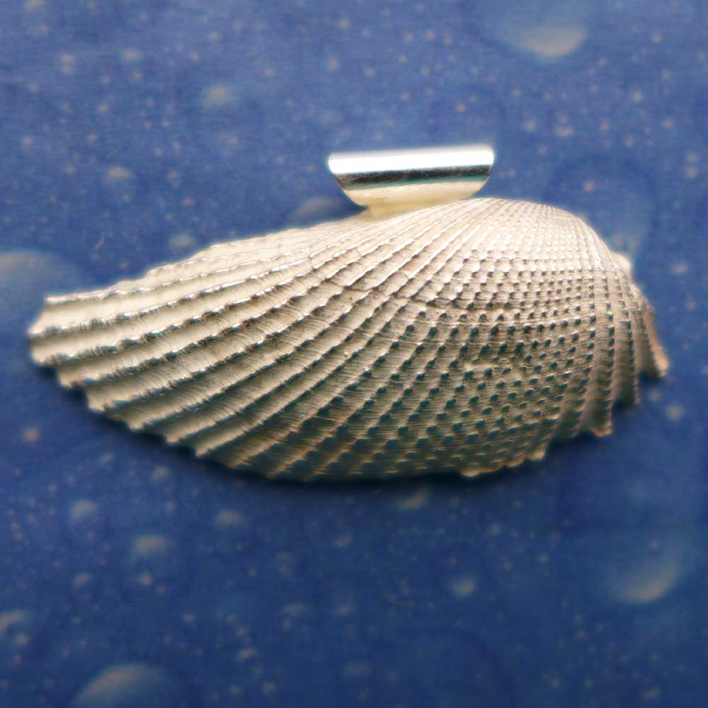 Engelsflügel Muschel Anhänger