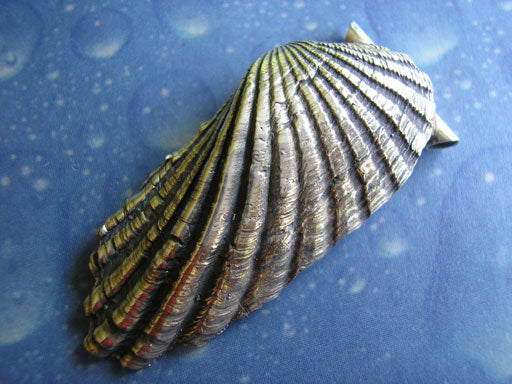 Meer Schmuck Muschel Anhänger Welle geschwärzt